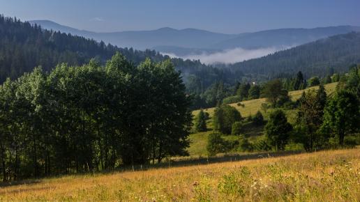 na Szklanówce, Fasola na Szlaku
