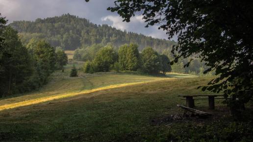 Widok na Gryniówki, Fasola na Szlaku