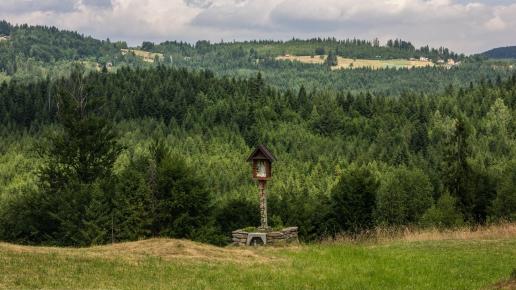 kapliczka na polanie ..., Fasola na Szlaku