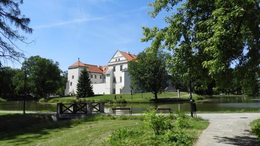 zamek w Szydłowcu, Joanna