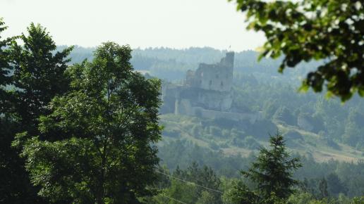 widok z podwórka, Joanna