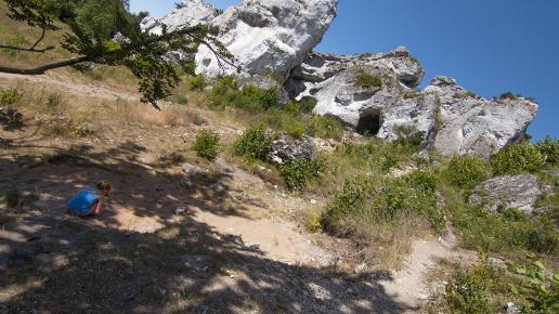 Góra Zborów