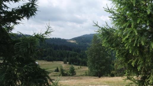 , Piotr Galas