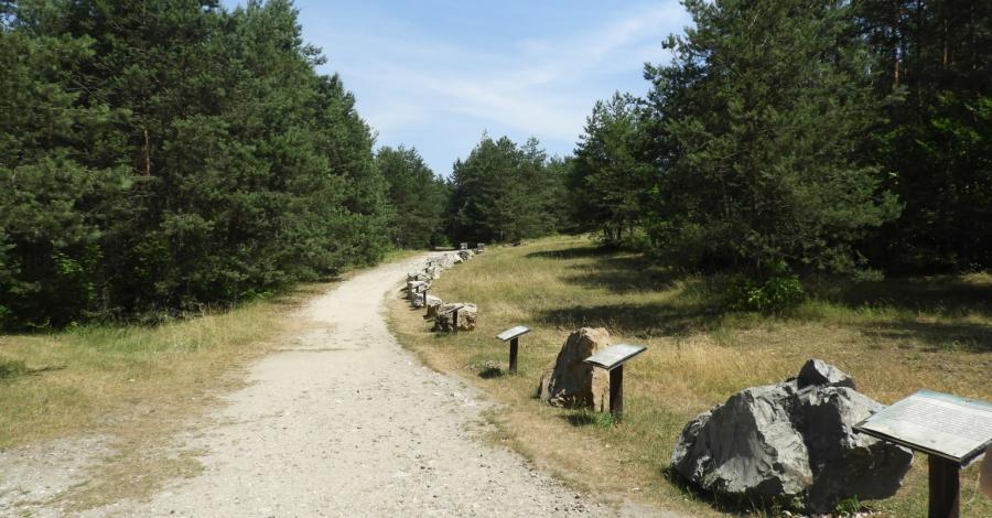 Podlesice – Jaskinia Głęboka i prawie Góra Zborów - zdjęcie