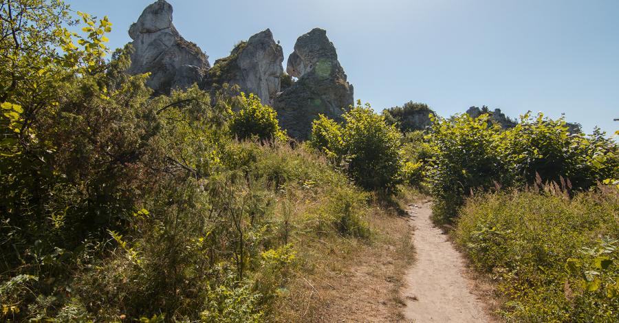 Jura - Góra Zborów i Dzibice - zdjęcie