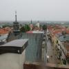 , marian