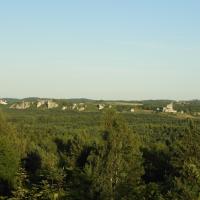 widok z Łutowca na Mirów i Bobolice, Joanna