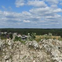 Mirów, Joanna