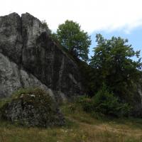 Strażnica Przewodziszowice, Joanna