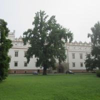 , marian