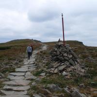 , Piotr Galas