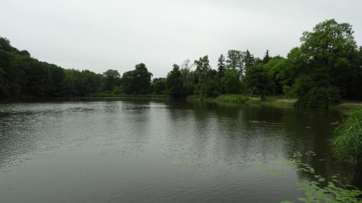 staw Irydion, Joanna
