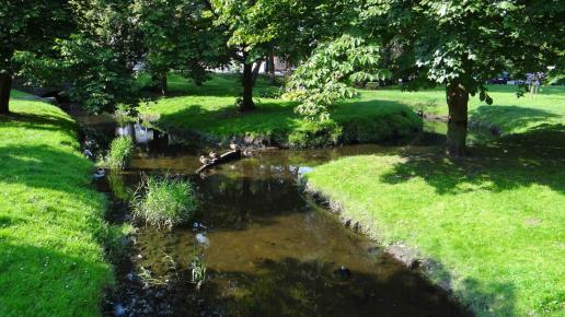 Park po drodze ze stacji do miasta, toja1358
