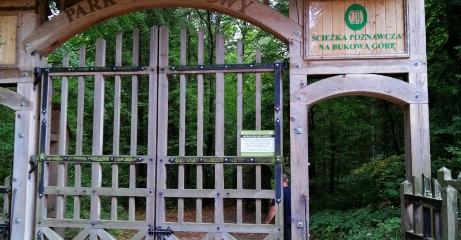Zwierzyniec-Roztoczański Park Narodowy - zdjęcie