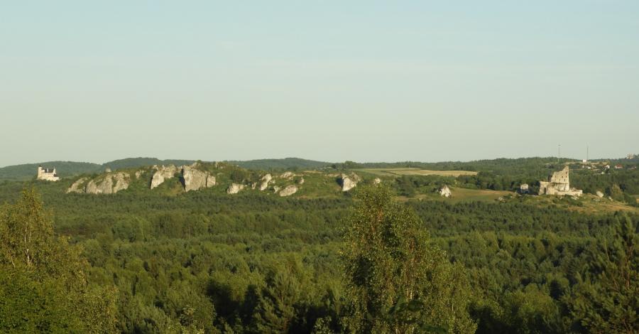 Mirów i Bobolice - dwa zamki dwóch braci w dwa dni - zdjęcie