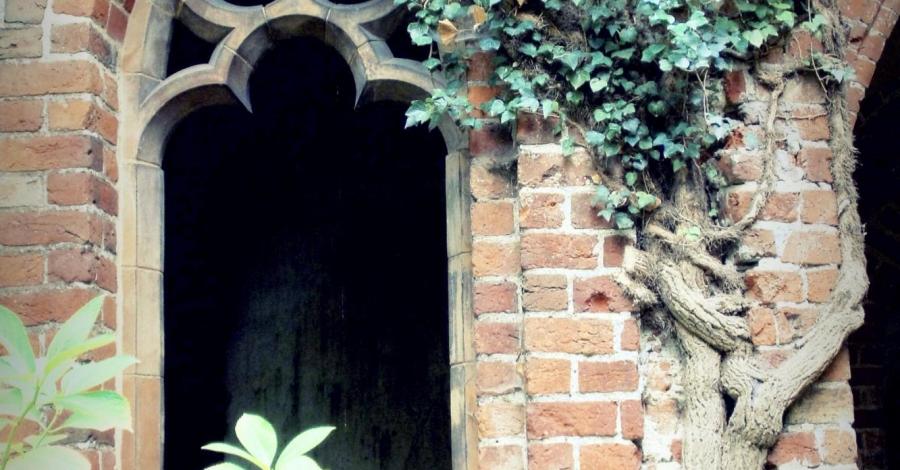 Samotnie na wolińskiej wyspie – III dzień – Międzywodzie – Kamień Pomorski - zdjęcie
