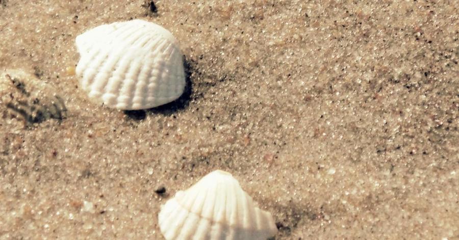 Samotnie na wolińskiej wyspie – V dzień – Międzywodzie - zdjęcie