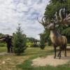 Lubin Park Wrocławski