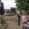 Park Narodowy Ujście Warty Wieża na Czarnowskiej Górce