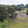 Park Narodowy Ujście Warty Wieża na Czarnowskiej Górce