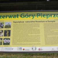 Góry Pieprzowe