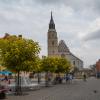 Bolesławiec