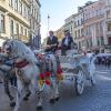 Rynek