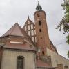 Żary fara