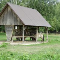 Rezerwat Pokazowy w Białowieży, Joanna