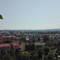 , mirosław