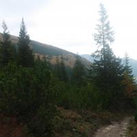 , Piotr Galas