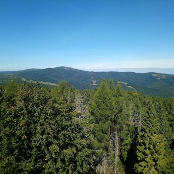 Widok z Eliaszówki, EmiZtg