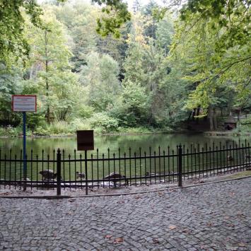 Staw na terenie Góry Parkowej, EmiZtg