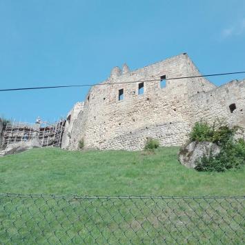 , mirosław