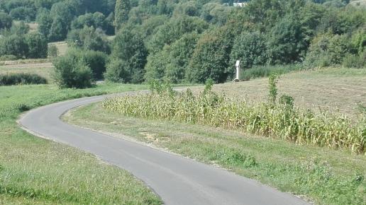 , mirosław