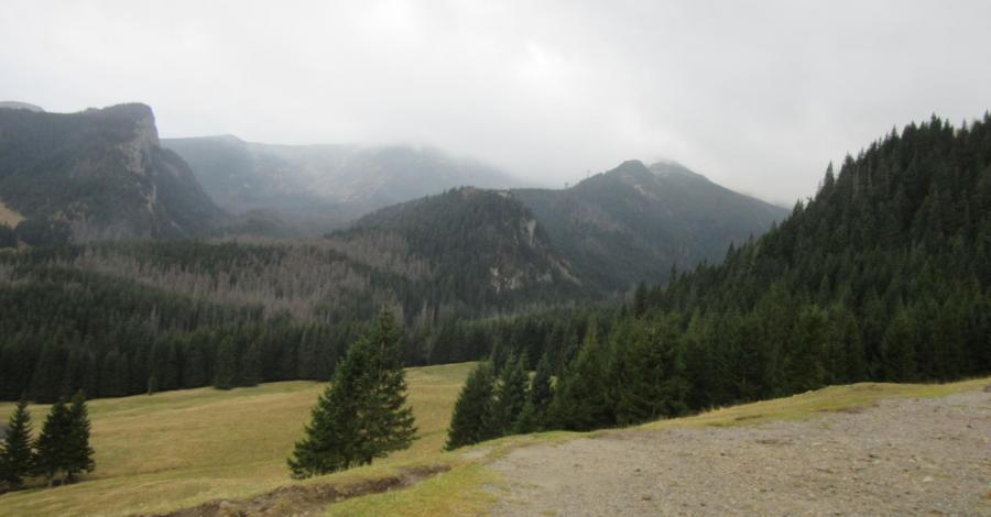 Zakopane- wędrówka na Kalatówkę - zdjęcie