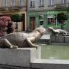 Rynek, Marcin_Henioo