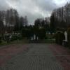 , MaciejW