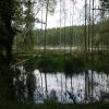 Puszcza Piska, Rezerwat Zakręt, Joanna