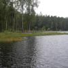 Puszcza Piska, Rezerwat Zakręt, Joanna
