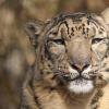 Zoo Opole
