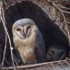 Zoo Opole