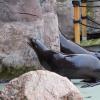 Zoo Opole