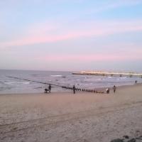 Plaża, MaciejW