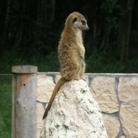 Gdańsk, ZOO, Joanna