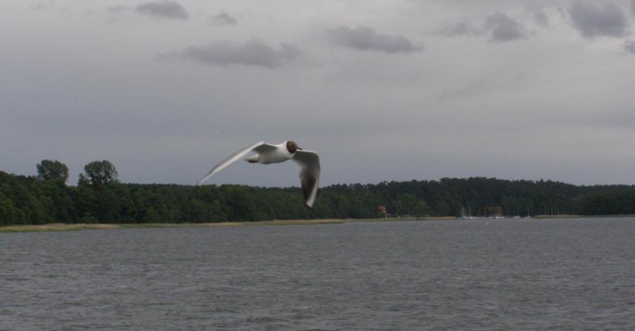 Z dawnych wspomnień: Mazury 2010 (Ruciane-Nida) - zdjęcie