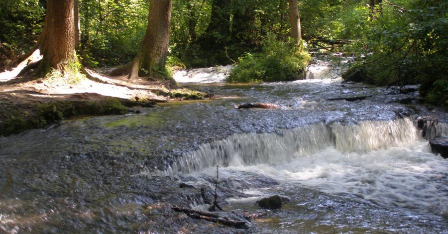 Z dawnych wspomnień: Roztocze 2009 (Zwierzyniec) - zdjęcie