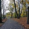 , Marcin_Henioo
