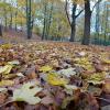 , Marcin_Henioo