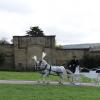 Chatsworth, Marcin_Henioo